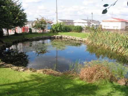 Pond at Dunton caravan site