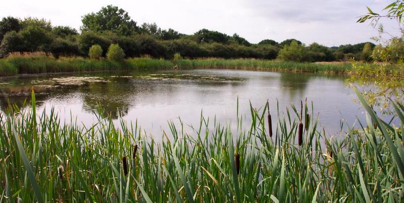 Gloucester Park, Basildon